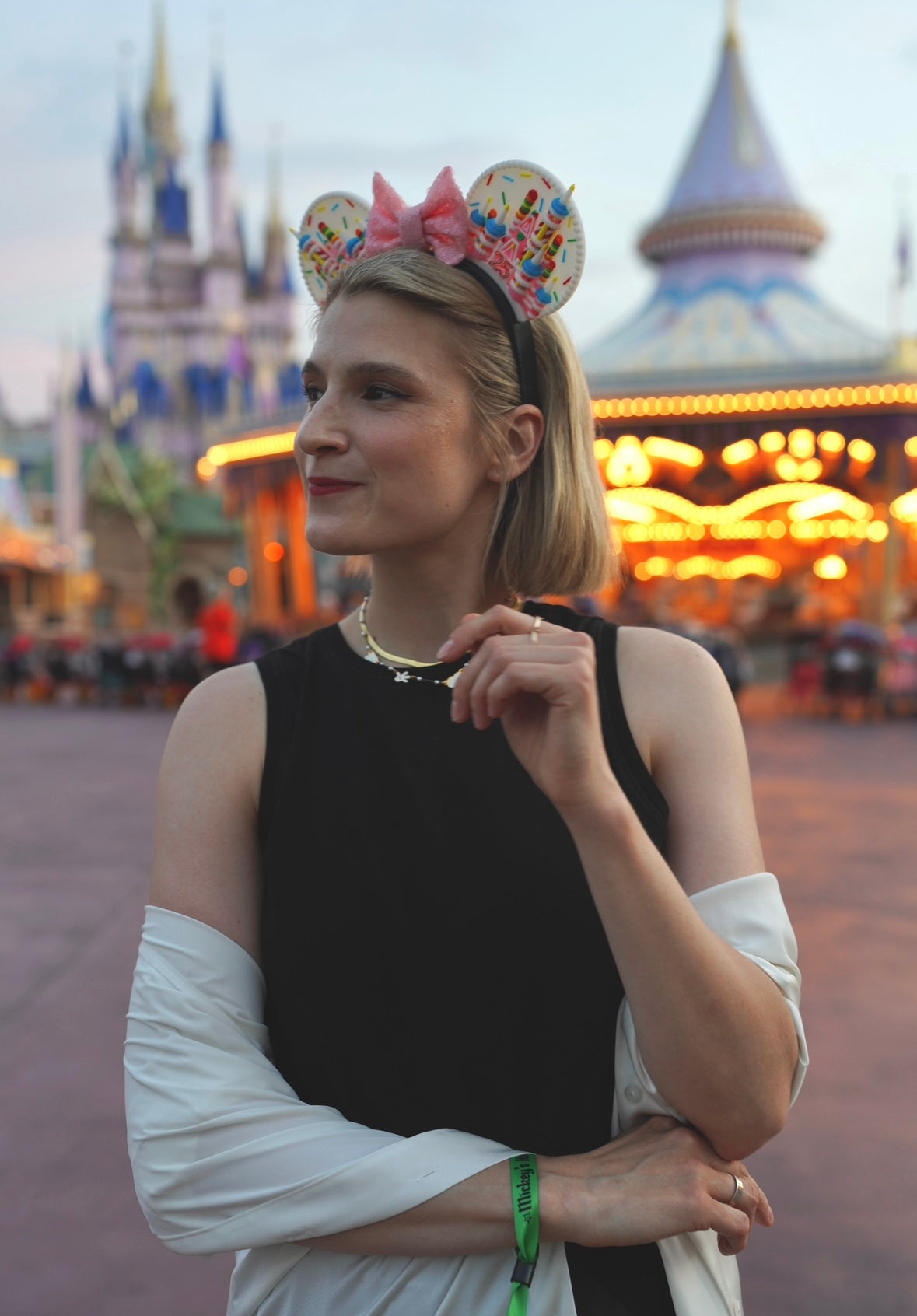 Cake Castle Interchangeable Ears